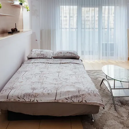 Close To The House Of Parliament And Old Town Bucarest